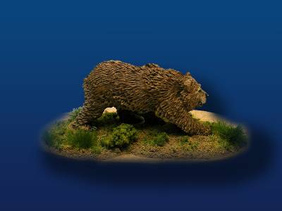 Short Faced Bear walking